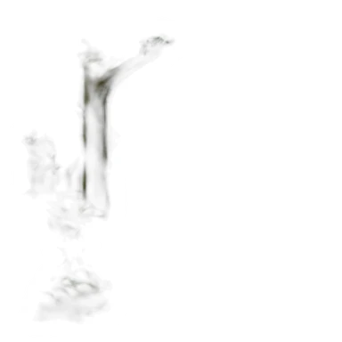 forest road entrance sticker