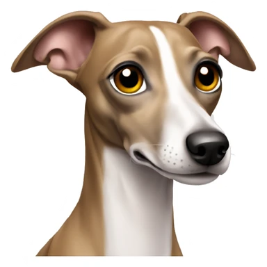 Italian greyhound  sticker
