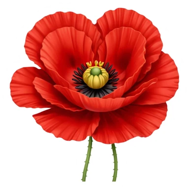 Red poppy sticker