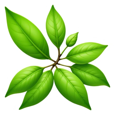 Fresh green tea buds with young tender leaves sticker