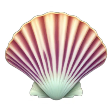 scallop shell sticker