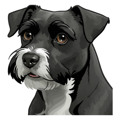 Schnauzzer black sticker