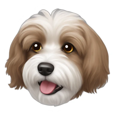 brown coloured dog bichon havanese crazy playful with the ball sticker