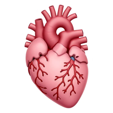 Anatomical heart, soft pink color from reference, light, iOS emoji style sticker