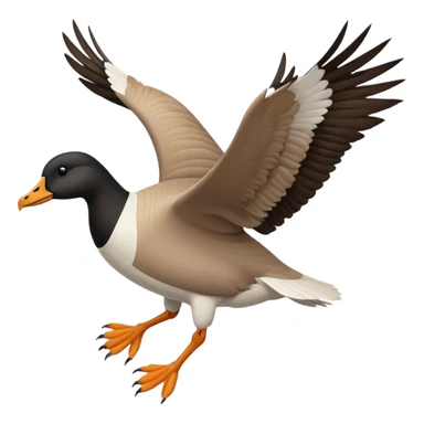 wild goose in flight, with black neck, black feet, black beak, brown wings sticker