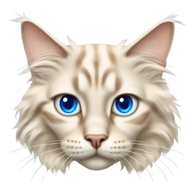 cream colored maine coon cat with blue eyes sticker