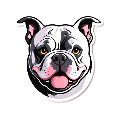 American bully white with grey patch over left eye  sticker