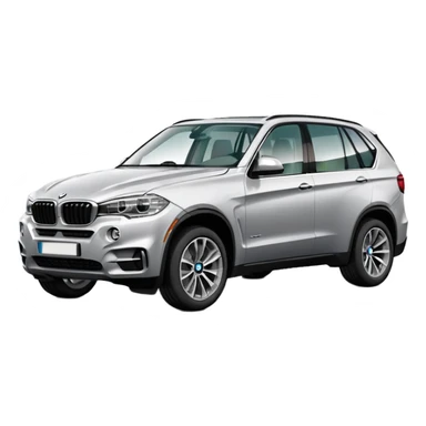 BMW X5 best view  sticker
