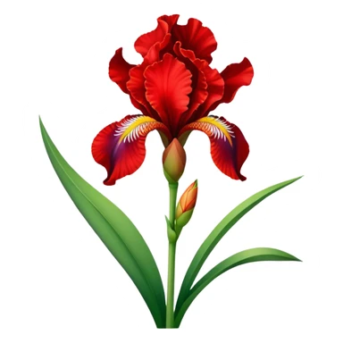 single Bright Red Iris, straight stem sticker