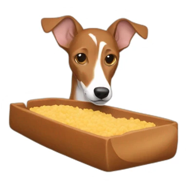 brown podenco eating dog meal sticker