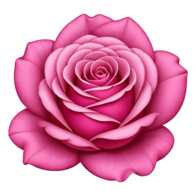 Okay, at furst Rose – pink please sticker