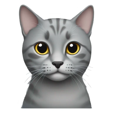 Grey Scotland cat sticker