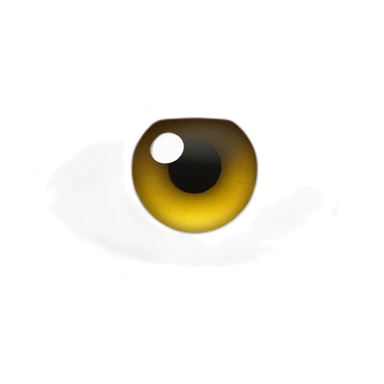 Human eye crying sticker