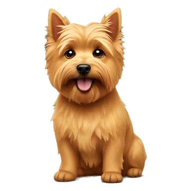 tan norwich terrier sticker