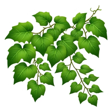 green ivy vine with leaves sticker