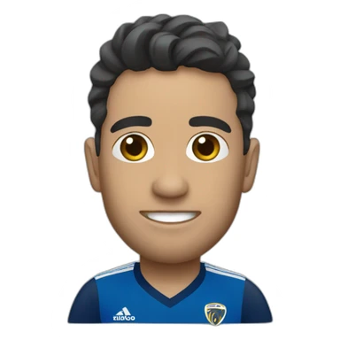 Bocajuniors  sticker