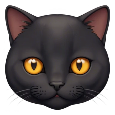 black british cat sticker