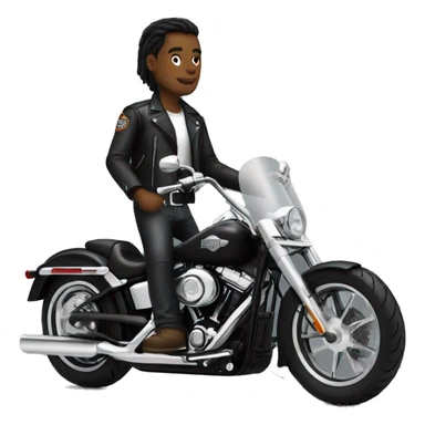 Black harley davidson with white rider sticker