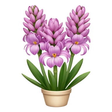 a light margenta  Hyacinth sticker