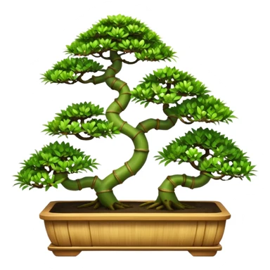 Twisted bamboo floor shelf unit displaying bonsai plants(in shallow bonsai pots) because they have too many  sticker