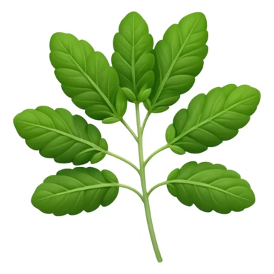 small sprig of fresh oregano with oval slightly fuzzy green leaves on thin tender stems, leaves clustered and layered with subtle natural curves and soft midrib veins, color ranges from vibrant to muted green, no pot scissors or extras, apple emoji style, soft lighting, subtle shadows, emoji scale sticker