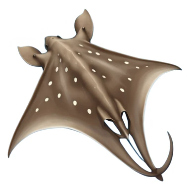 Spotted eagle sting ray with wide wingspan and long stinger tail viewed from above sticker