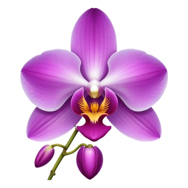 Orchid sticker