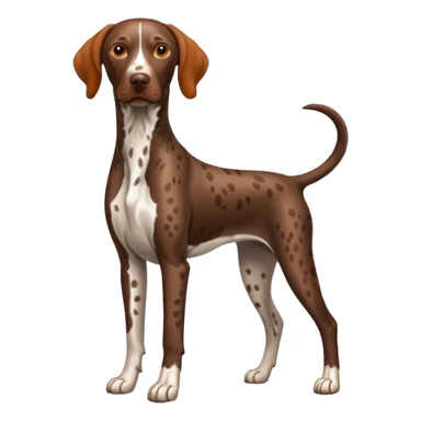 orange spotted face and back german short haired pointer docked tail sticker