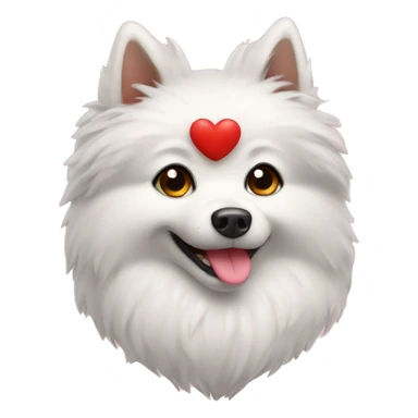 spitz with heart sticker
