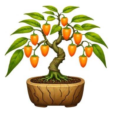 Very Large decorative gnarled bonsai pepper plant with tiny round orange-yellow peppers on it  sticker