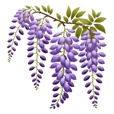 Japanese style wisteria (fuji) flower in elegant ukiyo-e inspired design, cascading purple blooms hanging like in traditional Japanese gardens, with gentle curved lines sticker