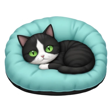 tuxedo short haired cat with green eyes sleeping in a lightblue pillow sticker