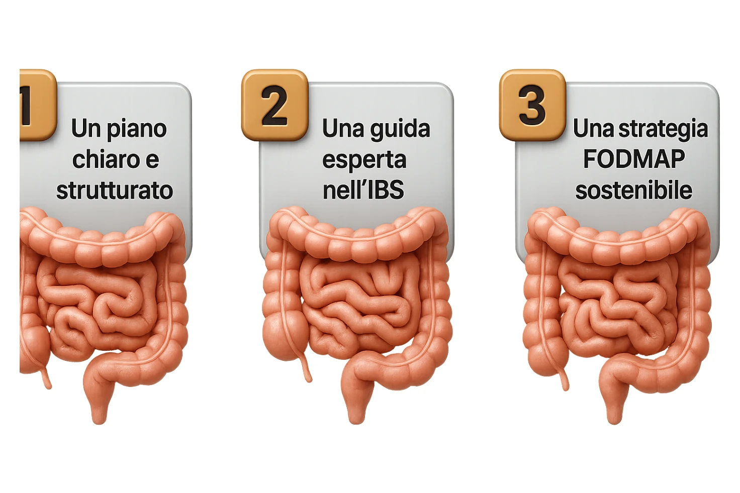 emoji stile iphone di 3 targhette numerate con intestino realistico davanti ad ogni targhetta, le targhette sono:
"1 – Un piano chiaro e strutturato
2 – Una guida esperta nell’IBS
3 – Una strategia FODMAP sostenibile"
, iperrealistico 4k sticker