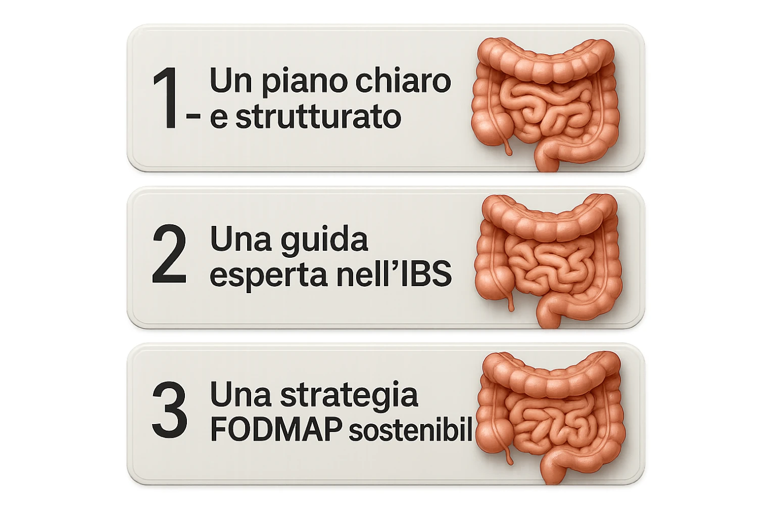 emoji stile iphone di 3 targhette numerate con intestino realistico davanti ad ogni targhetta, le targhette sono:
"1 – Un piano chiaro e strutturato
2 – Una guida esperta nell’IBS
3 – Una strategia FODMAP sostenibile"
, iperrealistico 4k sticker