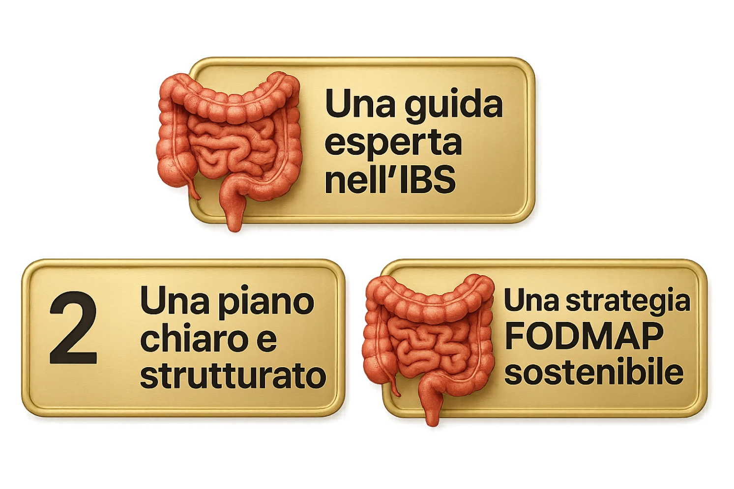 emoji stile iphone di 3 targhette numerate con intestino realistico davanti ad ogni targhetta, le targhette sono:
"1 – Un piano chiaro e strutturato
2 – Una guida esperta nell’IBS
3 – Una strategia FODMAP sostenibile"
, iperrealistico 4k sticker