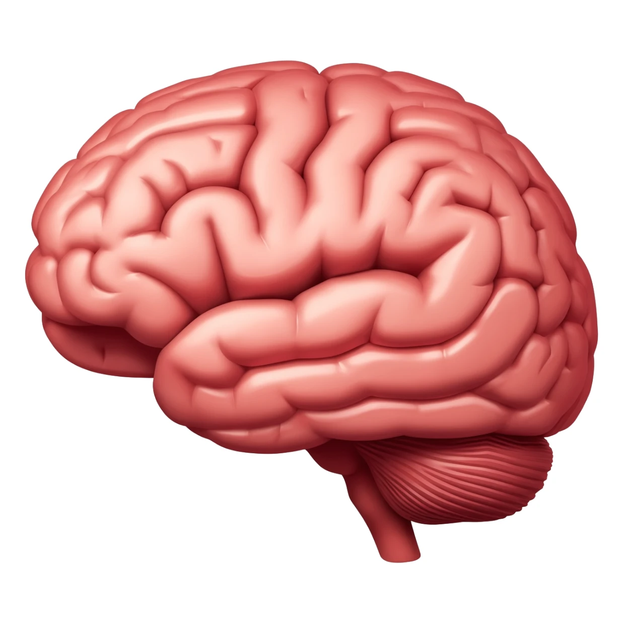 cerebro fuerte sticker