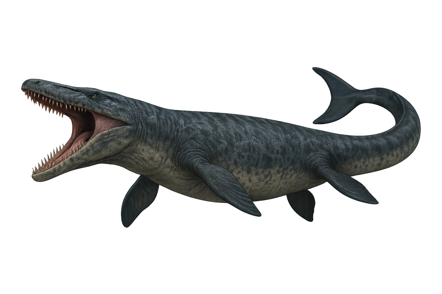 Mosasaurus sticker