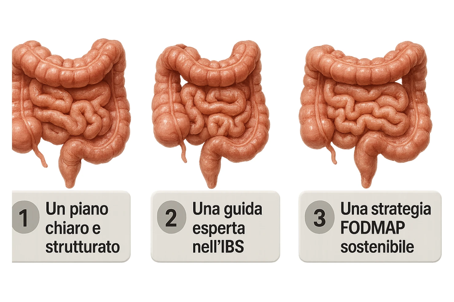 emoji stile iphone di 3 targhette numerate con intestino realistico davanti ad ogni targhetta, le targhette sono:
"1 – Un piano chiaro e strutturato
2 – Una guida esperta nell’IBS
3 – Una strategia FODMAP sostenibile"
, iperrealistico 4k sticker
