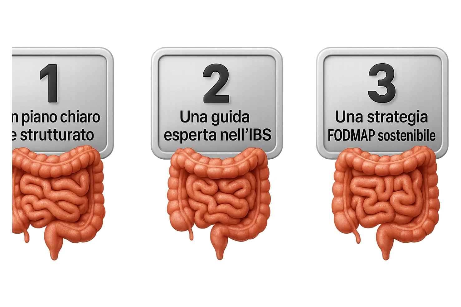 emoji stile iphone di 3 targhette numerate con intestino realistico davanti ad ogni targhetta, le targhette sono:
"1 – Un piano chiaro e strutturato
2 – Una guida esperta nell’IBS
3 – Una strategia FODMAP sostenibile"
, iperrealistico 4k sticker