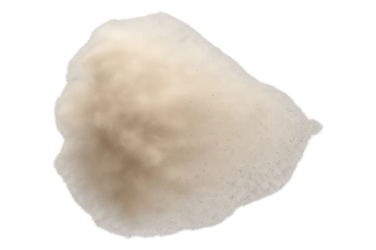 a cloud of dust dispersing, delicate particles, floating away, transparent background sticker