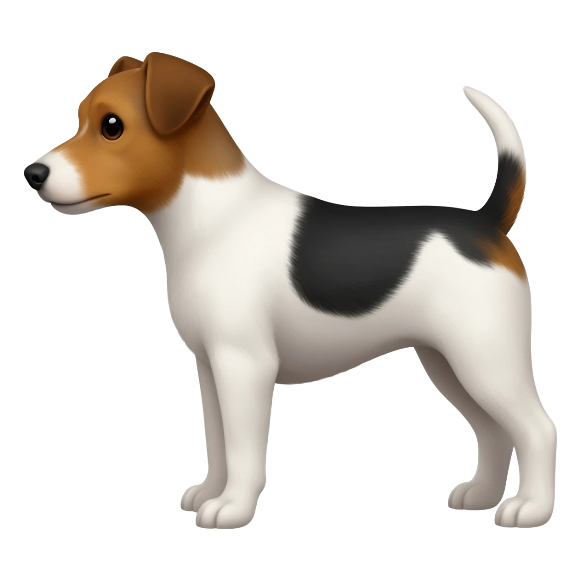 Terrier de color blanco, cafe y negro sticker