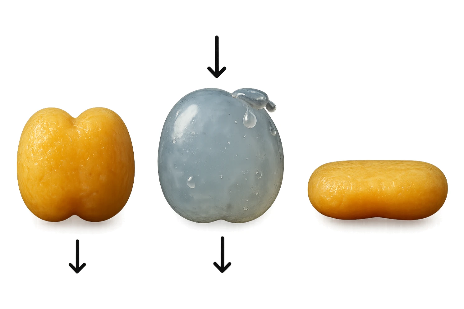 il processo di una cellula adiposa che si sgonfia, si gonfia di acqua e infine si appiattisce, 3d iperrealistica 4k sticker