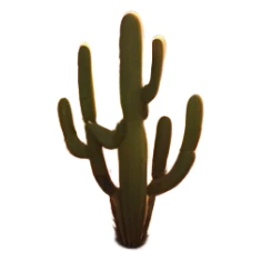 Cinematic Realistic Desert Emoji in a frame, Expansive and arid, with vast stretches of golden sand dunes and scattered cacti, the sun casting a warm, almost orange glow over the dry, cracked earth. The horizon blurs into a heat shimmer, while the occasional desert flower adds a splash of color to the barren landscape. Soft glowing outline, capturing the essence of the harsh yet stunning beauty of the desert, calm and quiet, filled with silence and mystery. sticker