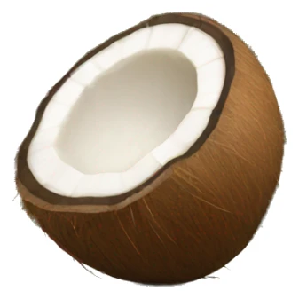 coconut sticker