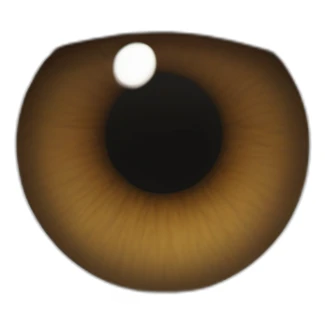 narrowed almond-shaped hazel eyeball with thick black eyelashes  with dark brown eyebrow arched downward sticker