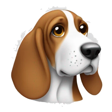 Beagle basset hound with white face sticker