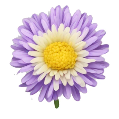 chrysanthemum sticker