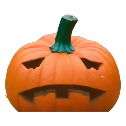 North Carolina state university pumpkin sticker