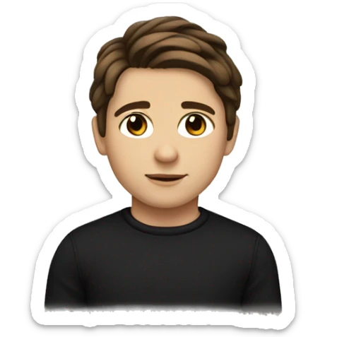 boy with a middle part flow hairstyle, brown hair and a black sweater, brown eyes and white skin sticker