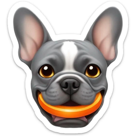 Grey French bulldog with orange ball in its mouth  sticker